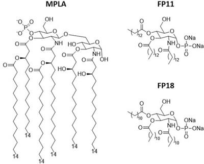 Cleaner synthesis of preclinically validated vaccine adjuvants